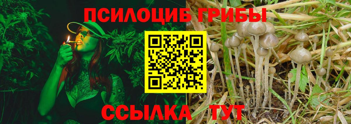 Галлюциногенные грибы Psilocybine cubensis  Псилоцибиновые грибы GOLDEN TEACHER  Отрадный  Вход с VPN 